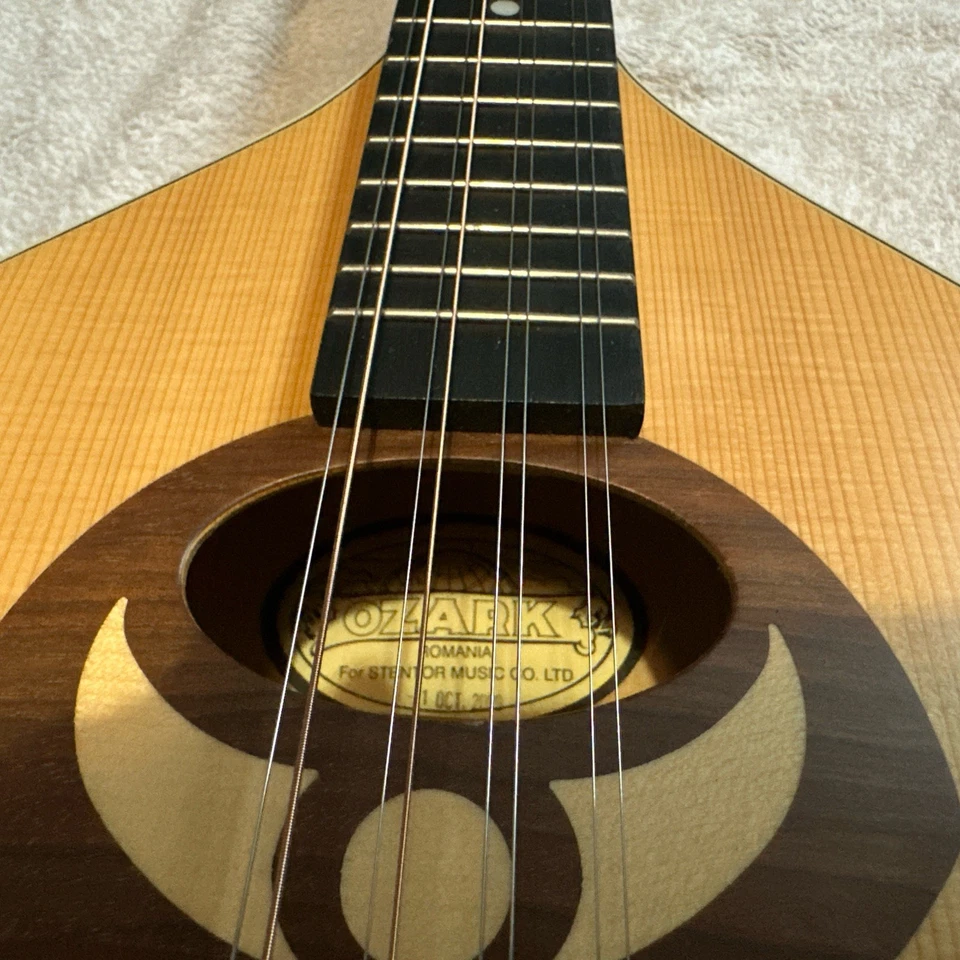 Ozark 2222 Irish Bouzouki Flat Backed. SecondHand + Brand New VIKING hardcase - Image 2 of 4
