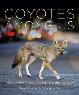 Stanley D. Gehrt Coyotes Among Us (Gebundene Ausgabe) (US IMPORT)