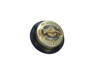 Thermostat Volvo 87C