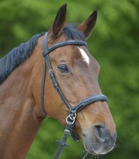 NEW Star Bitless Bridle BLACK Full Side Pull