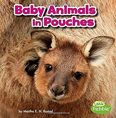 Baby Animals in Pouches Library Binding Martha E. H. Rustad