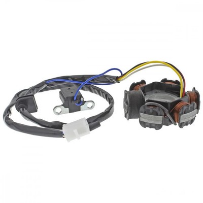 Lichtmaschine Stator 101 Octane für Peugeot Speedfight 50 2 LC 2T DD X-Race 2001