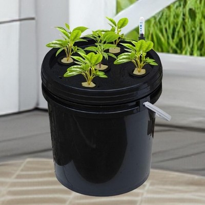 DWC Hydroponics Deep Water Culture System für den Garten mit Blattgemüse