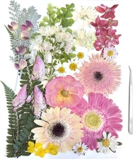 A4 Large Dried Pressed Flowers for Resin Real Dry Natural Flowers Leaves for ...