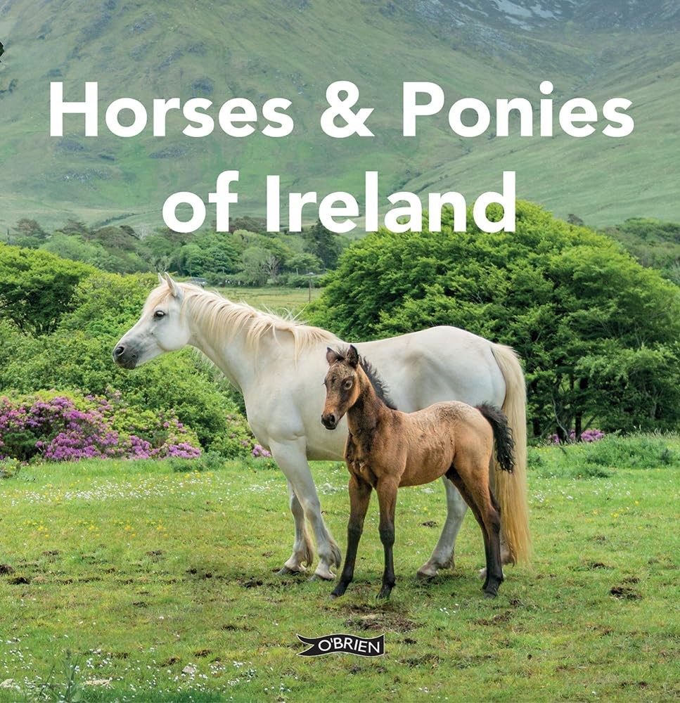 Horses And Ponies Of Ireland Sarah O'connor - Image 6