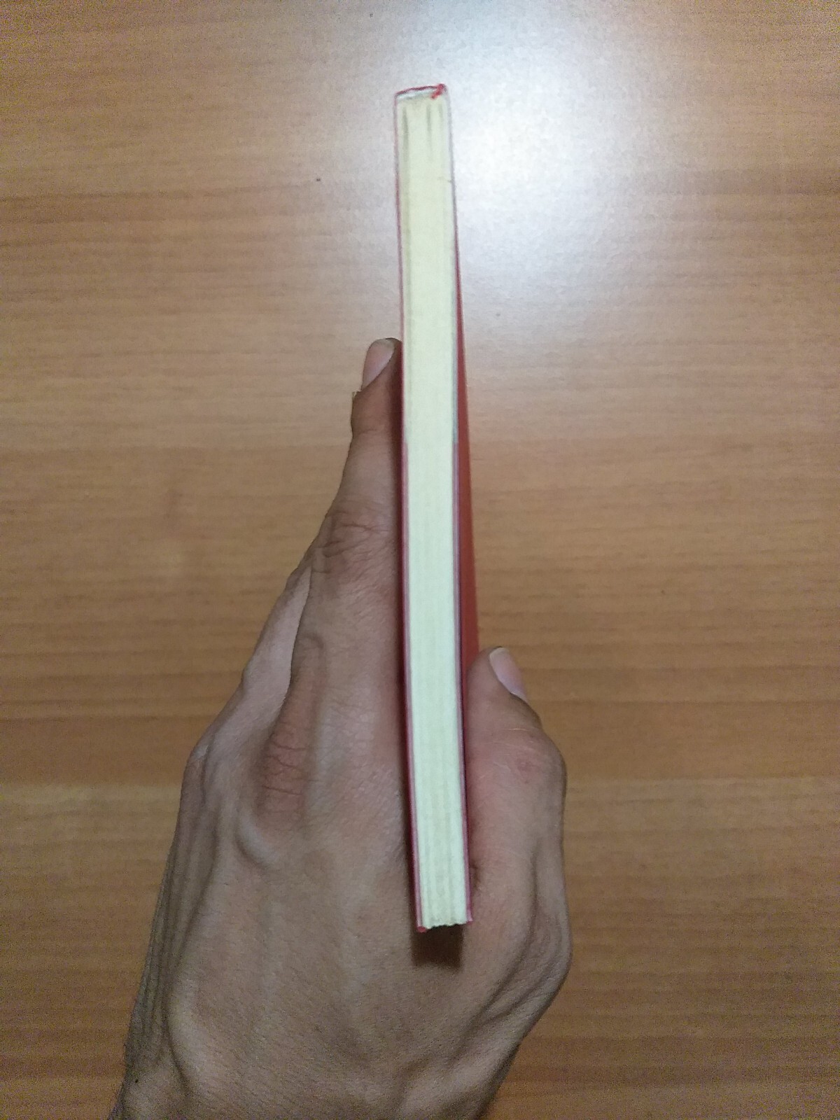 Foto 5 di 8