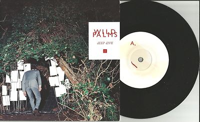 WILD PALMS Deep Dive w/ UNRELEASED BJORK remake cover trk UK 7 Inch Vinyl 2010