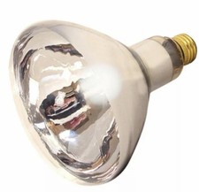 SATCO PRODUCTS HEAT BULB CLEAR EA 125W S4750