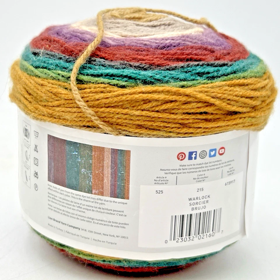 (6) SKEINS LION BRAND MANDALA WARLOCK 215 YARN 5.3 OZ EACH LOT 415917 - Image 4 of 4