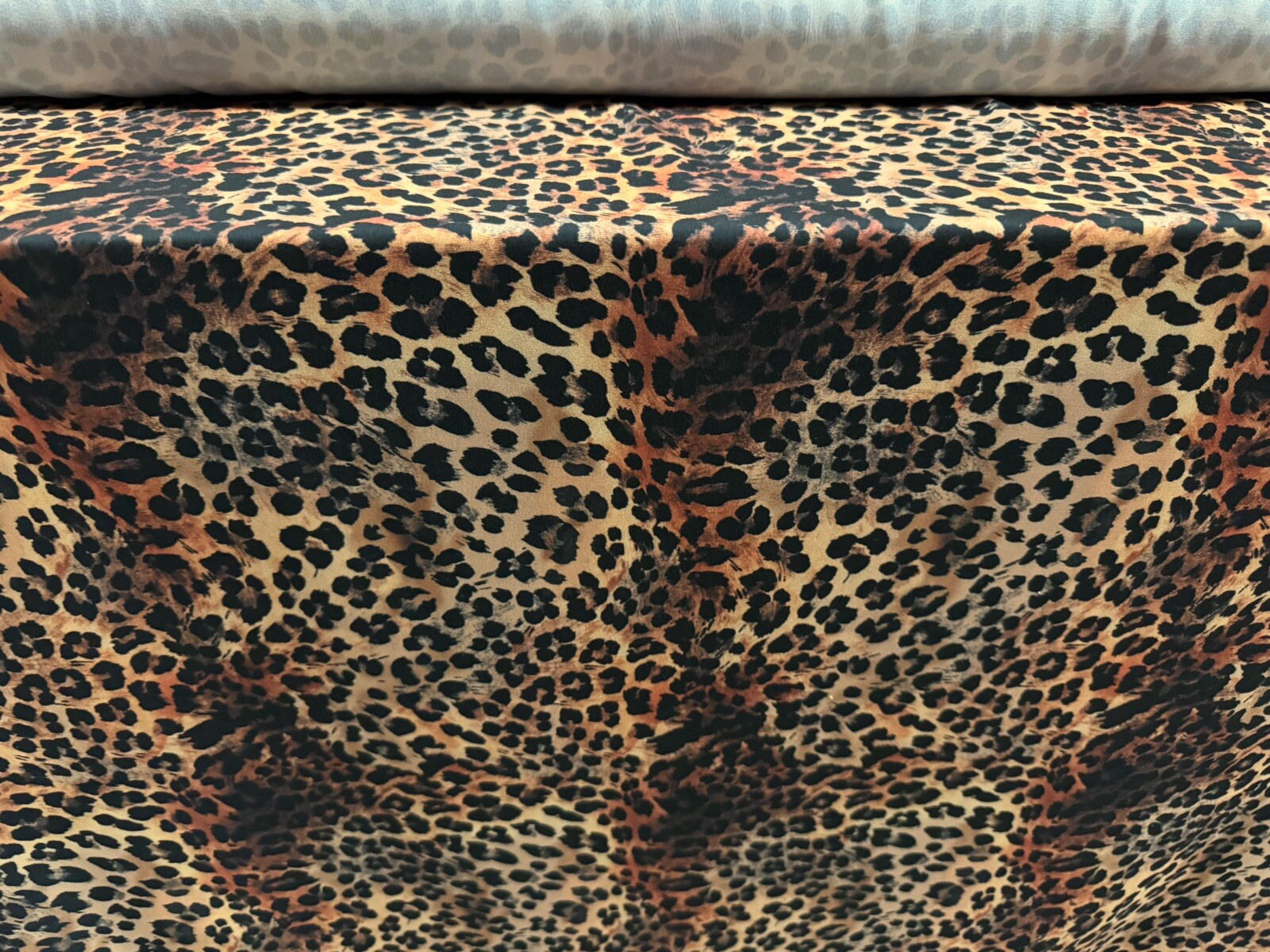 Picture 2 of 4