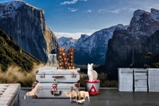 3D Mountain Forest Snow Blue Sky Self-adhesive Removeable Wallpaper Wall Mural