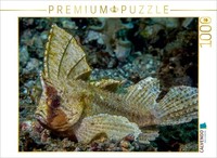 Calvendo Puzzle Schaukelfisch 1000 Teile Puzzle Quer | 1000 Teile Lege-GrößE 64X