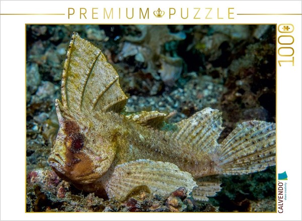 Calvendo Puzzle Schaukelfisch 1000 Teile Puzzle Quer | 1000 Teile Lege-GrößE 64X-image