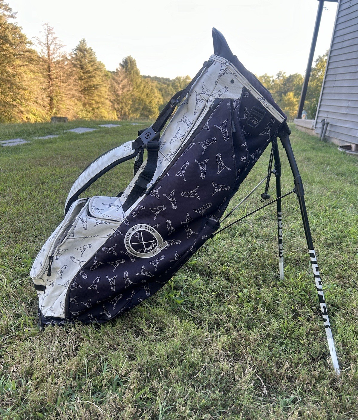 Picture 1 of 21