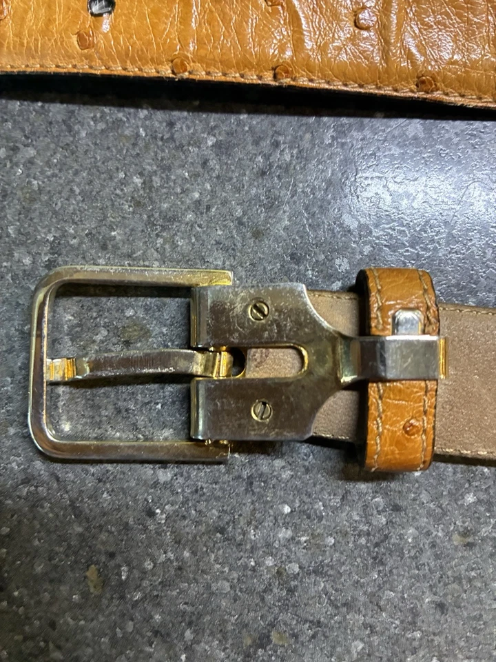 "Cinturón de vestir de avestruz real pluma completa para cintura de 34""" Foto 4 de 4