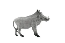 Warthog, Africa, Realistic Toy Figurine, Model, Statue 4" CH205 BB117