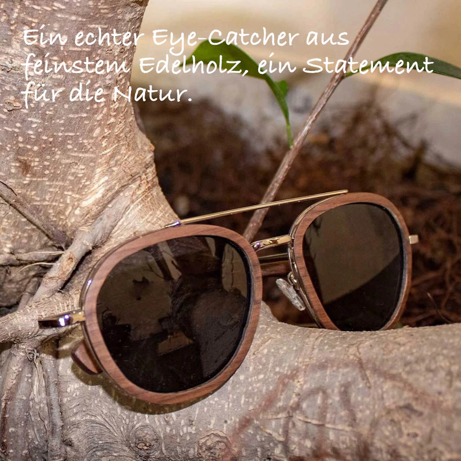 Bild 3 von 4