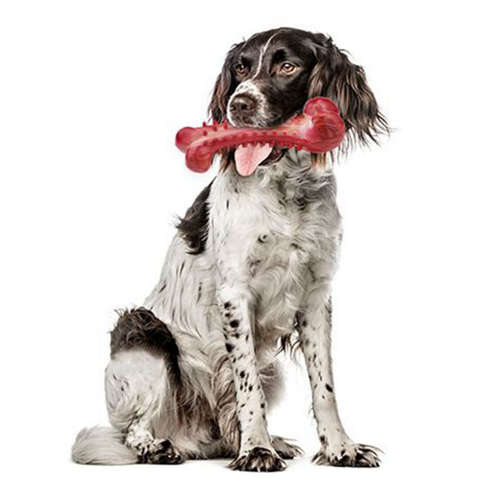 Dog Bone Toy Pet Simulation Bite Resistant Teeth Grinding Toys Rubber Molar