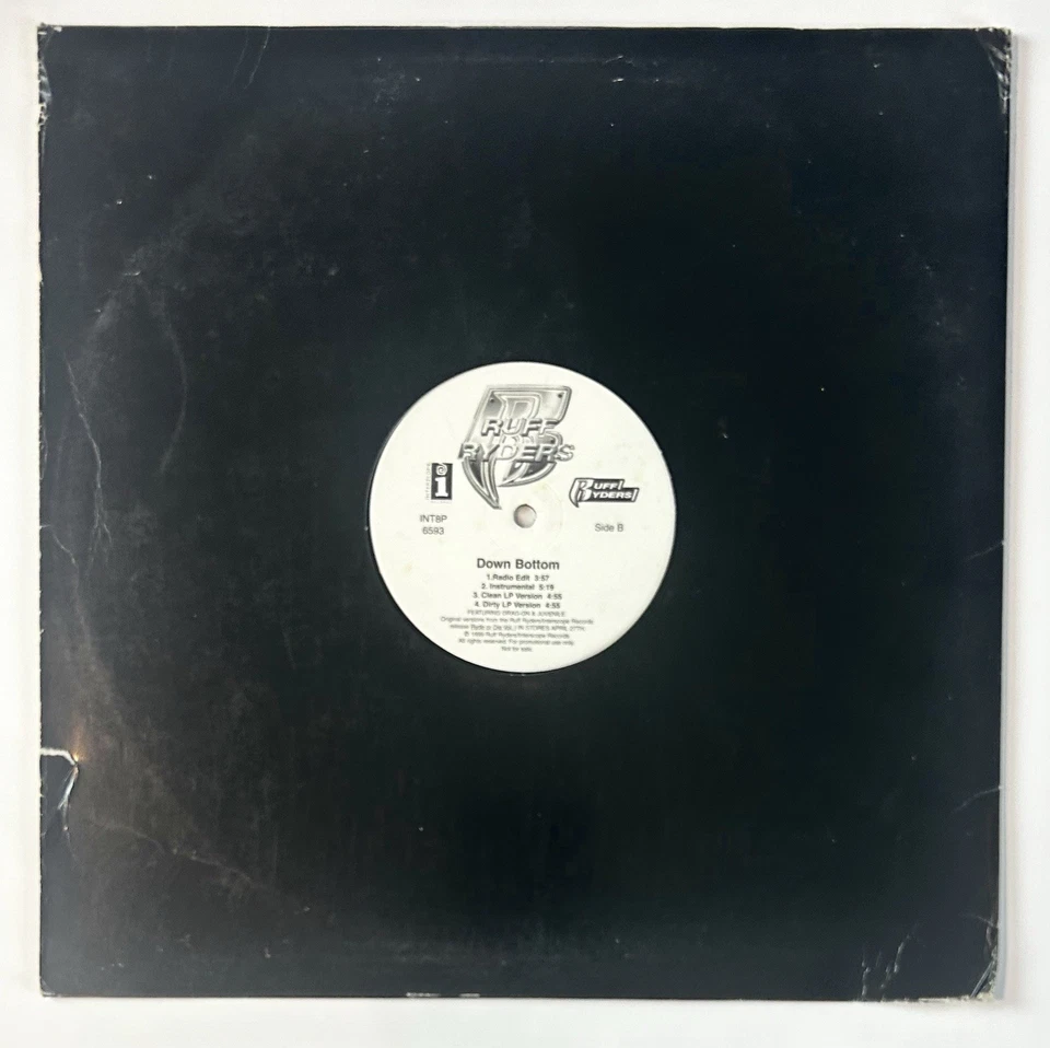 Lot Of 6 90’s Hip Hop Vinyl Records AV8, Ruff Ryders , Silkk The Shocker & More Foto 3 de 4