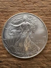 2009 UNCIRCULATED RAW SILVER EAGLE Super Nice Coin