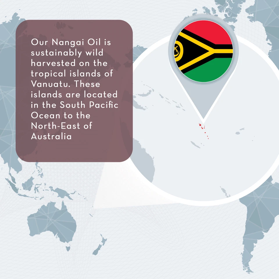 Nangai Oil, 4 fl oz - Wild Harvested and Cold Pressed - Undiluted and 100% Pure - Image 3 of 4