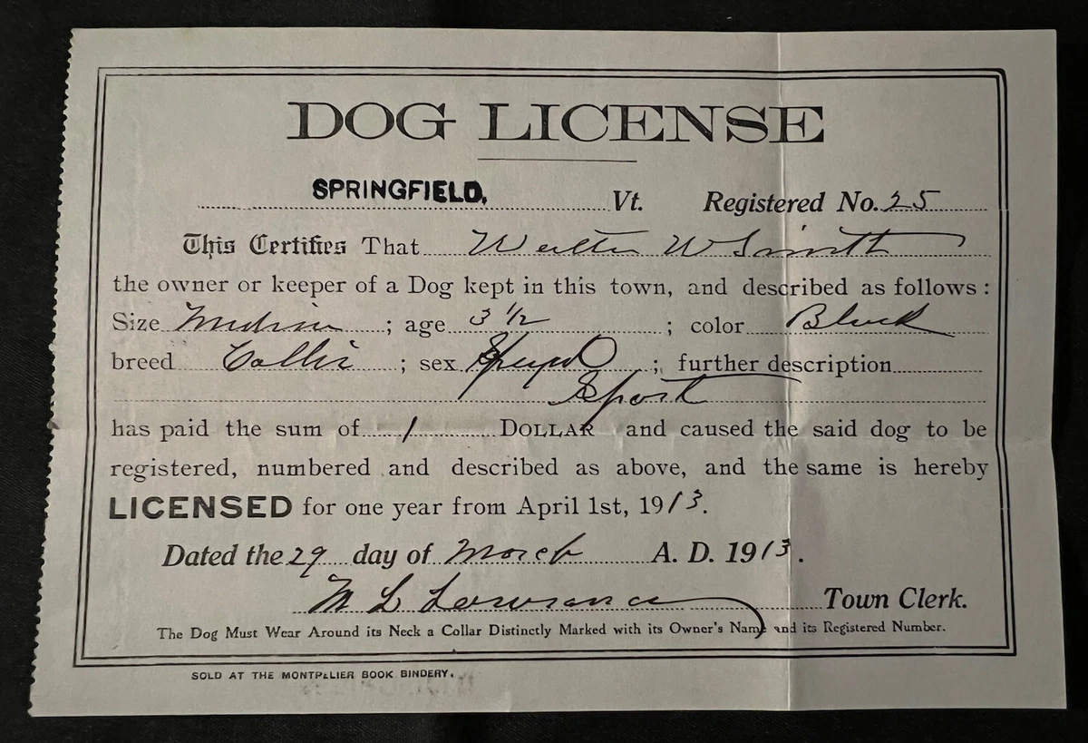 How Much Is A Dog Licence Uk