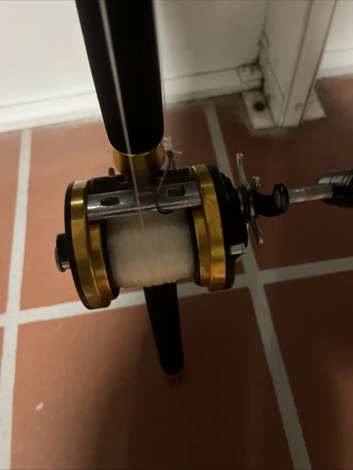 Juego de caña de pescar de aguas profundas peces en cualquier lugar en cualquier momento en excelente estado Foto 4 de 4