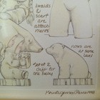 Bild 8 von 10