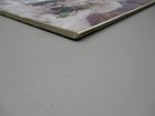 Picture 4 of 12