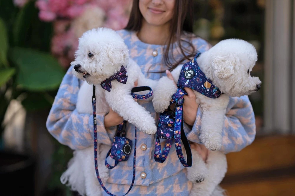 Dog Harness No-Pull with Leash set