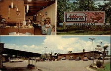 Georgia Ashburn Motor Inn multiview miniature horses classic cars ~ postcard