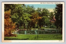 Vintage Linen Postcard Lily Pool Central Park Ashland KY 1930s
