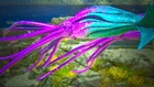 Ark Ascended - PVE - Xbox/PC/ PS5- [CC Top Stat Tuso 48k Health 631 Damage Pair]