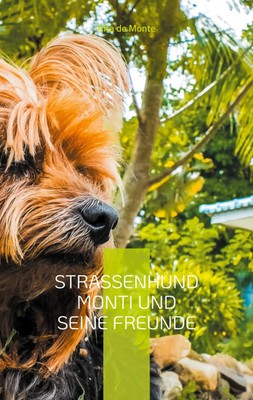 Straßenhund Monti und seine Freunde Rita de Monte Taschenbuch Paperback 148 S.