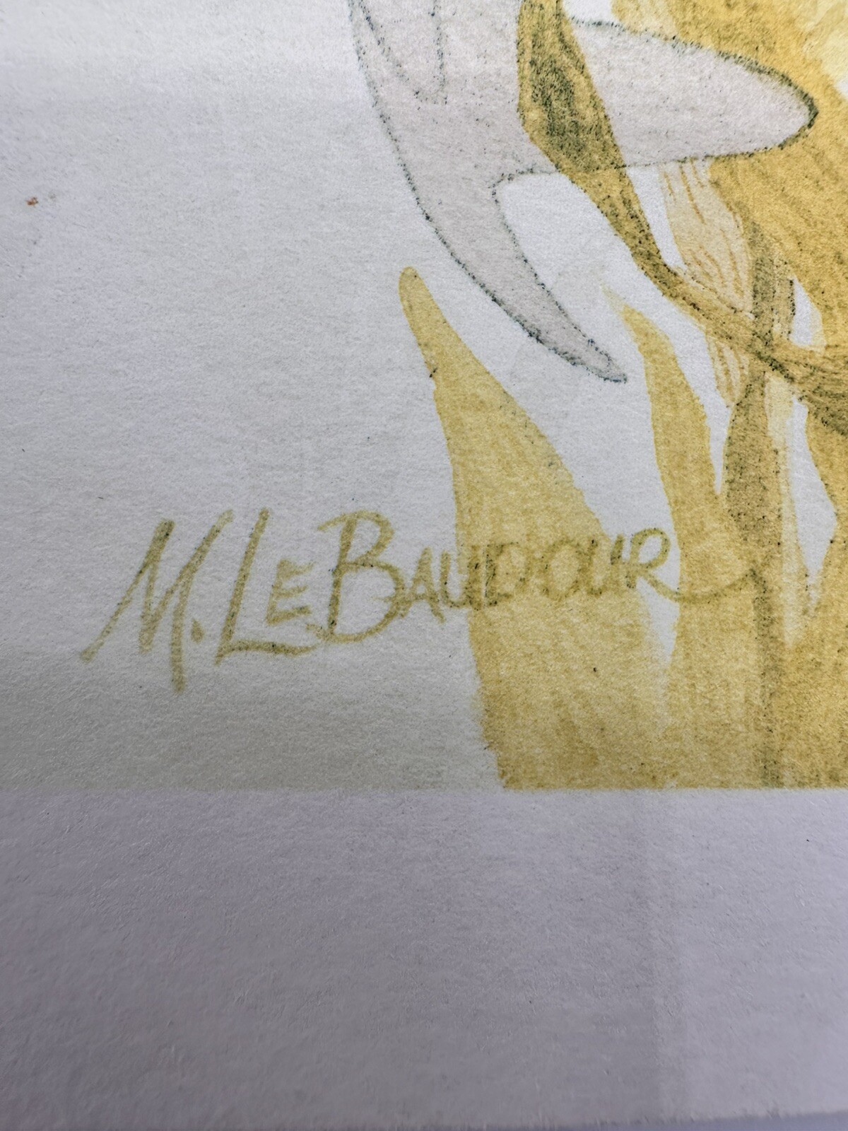 Picture 5 of 9