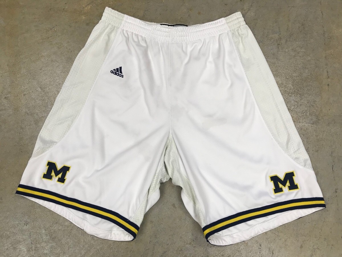 Michigan Wolverines 2008-09 Adidas Game Worn Used NCAA Basketball