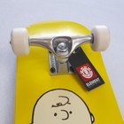 Foto 3 di 3
