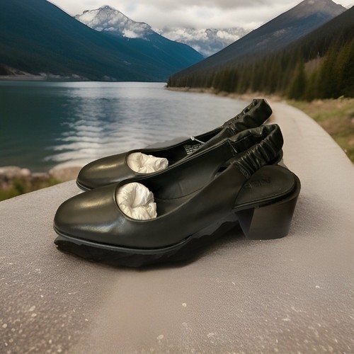 Woman's Dress Shoes Aerosoles Altona Pump Size 10M