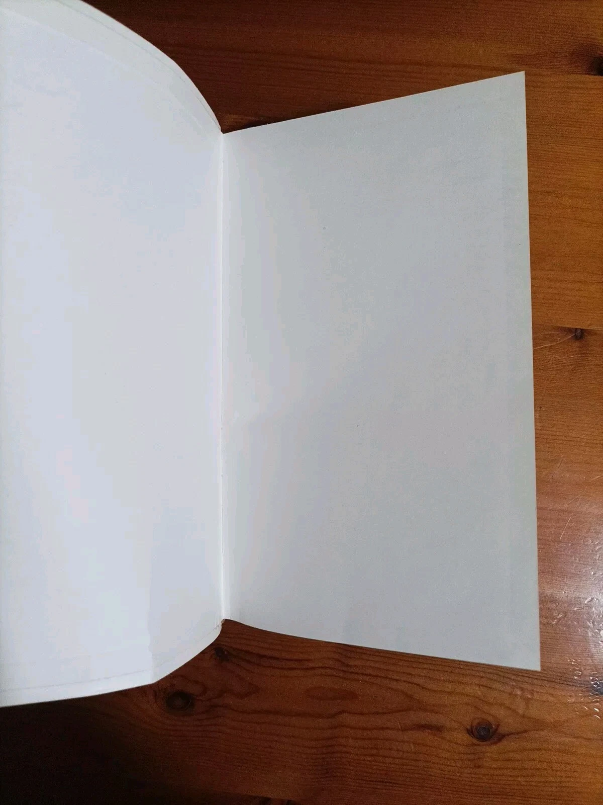 Foto 7 di 18