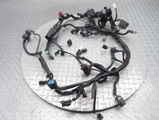 2023 18-23 Kawasaki Ninja 400 EX400 Main Engine Wiring Harness Wire Loom Cable