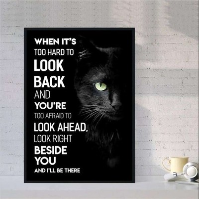 Black Cat When It Too Hard To Look Back... Look Right Beside You I'Ll Be Ther...