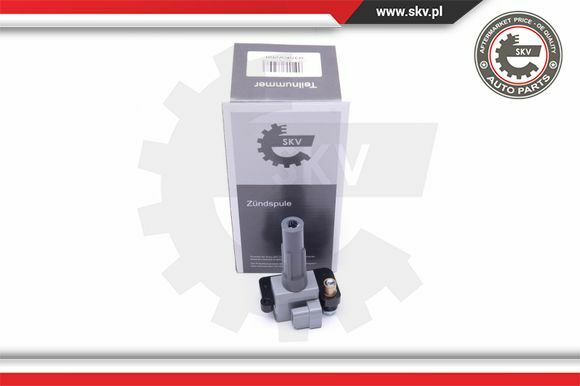 Esen SKV ZüNdspule ZüNdmodul FüR Subaru Forester 2.0 AWD 2.5 Impreza-image