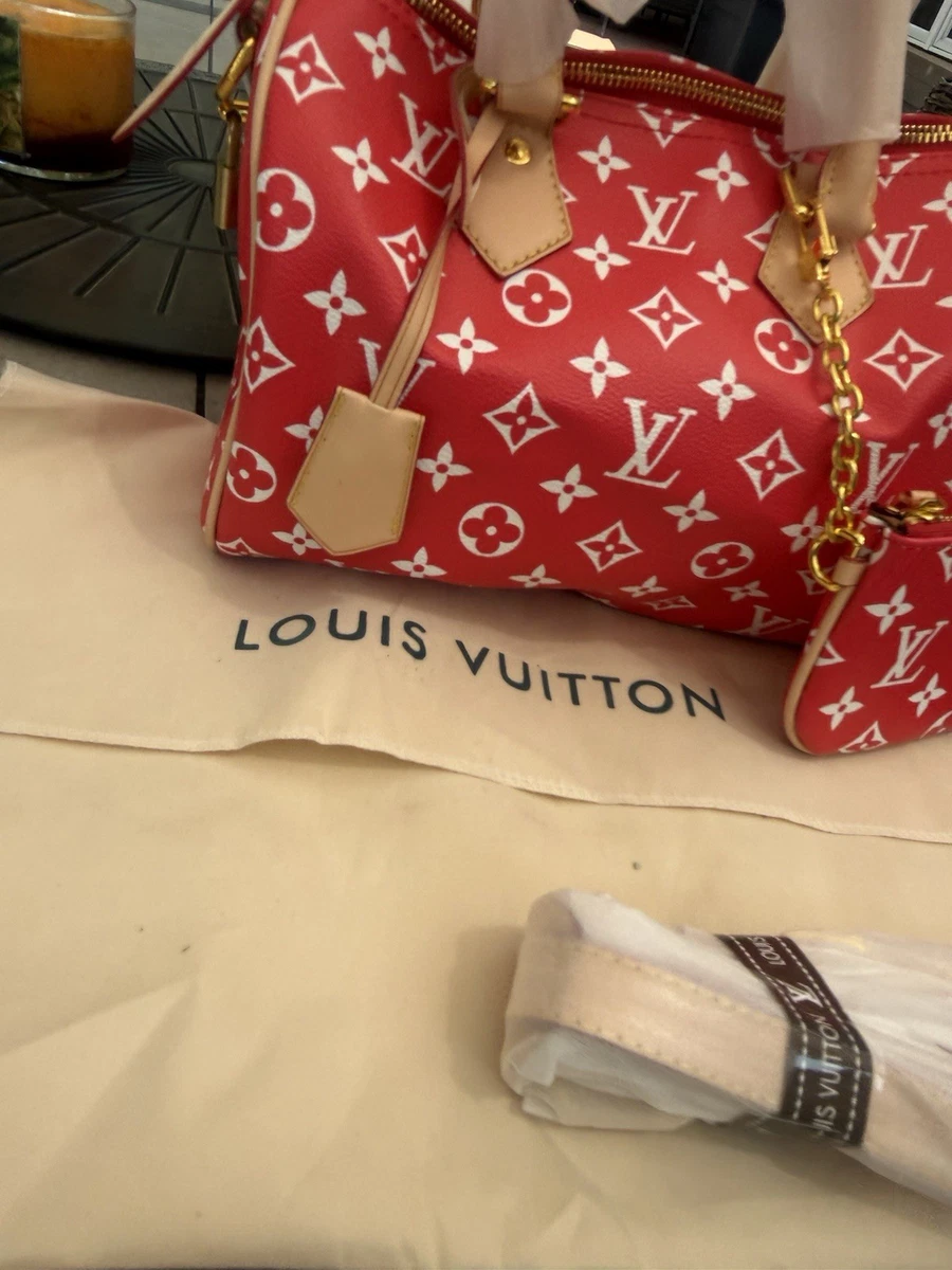 Louis Vuitton Speedy Bags for Sale - eBay