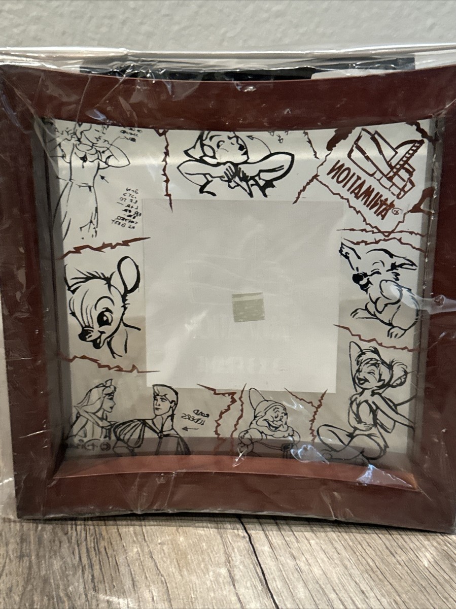 Disney World PARKS Animation 3x3 ARS Wood/Glass Walnut Frame