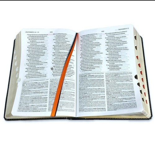 Pastoraltheologische Studienbibel RV1960 kleine Größe mit Index - Bild 2 von 4