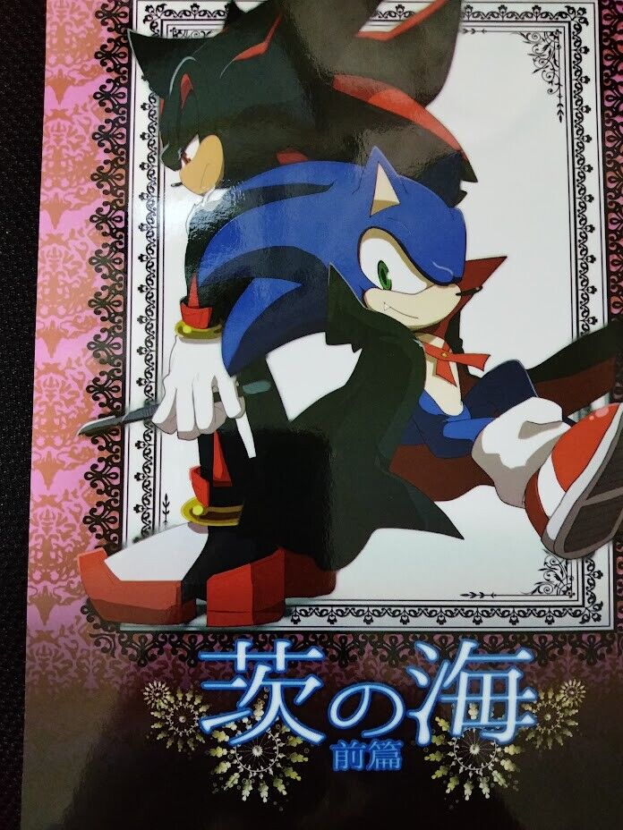 Sonic the Hedgehog V.S. Shadow the Hedgehog, This time, in Sonic X