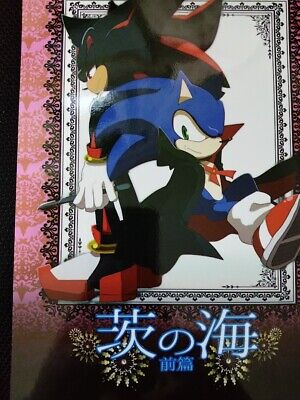 Sonic the Hedgehog Doujinshi Sonic X Shadow (B5 50pages) ROOT8Beat