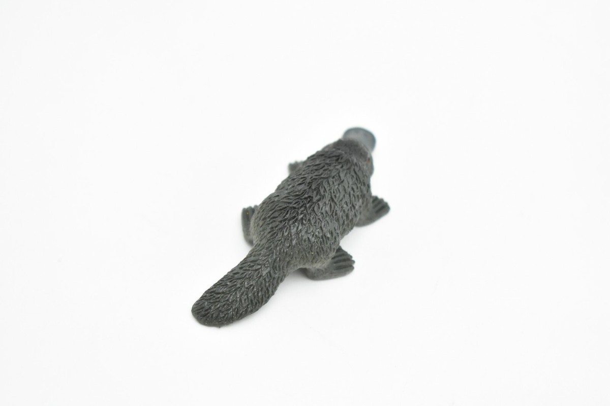レア ⭐️MEFFERT’S Platypus Color Collection Fidget Friends Platypus – 801 Hobbies