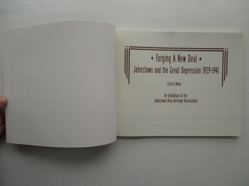 Forging A New Deal: Johnstown PA and the Great Depression 1929-1941 Curtis Miner - Picture 4 of 12