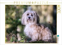 Calvendo Puzzle Havanese Girl | 1000 Pieces, Finished Size 25.2 × 18.9 In (64 ×